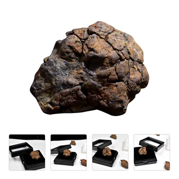 Маслинов метеорит автентични бижута детски играчки настолен орнамент маса за хранене