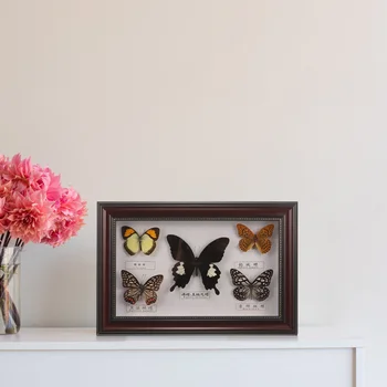 Пеперуда образец фото рамка пеперуди образец дисплей рамка пеперуда образец картина рамка за стена